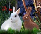 Белый кролик и другие шоколад
